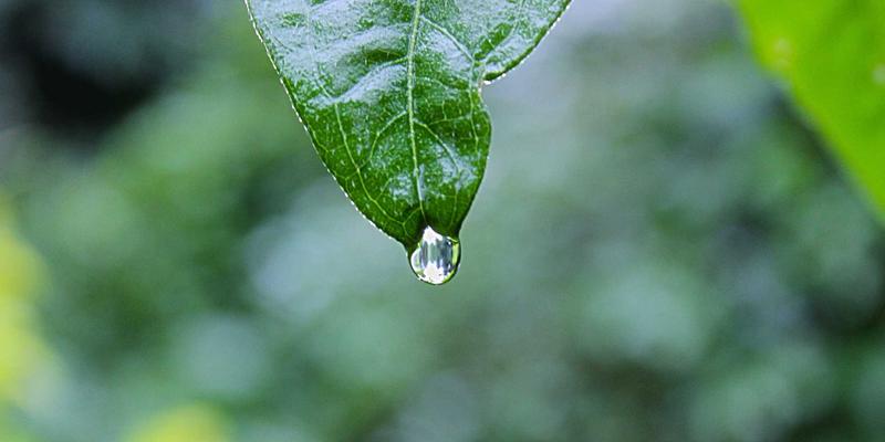 腙52：有机合成中的关键化工原料及其工业应用解析