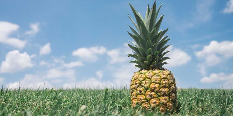腙键：解锁智能高分子涂层响应性能的关键工业原料与技术