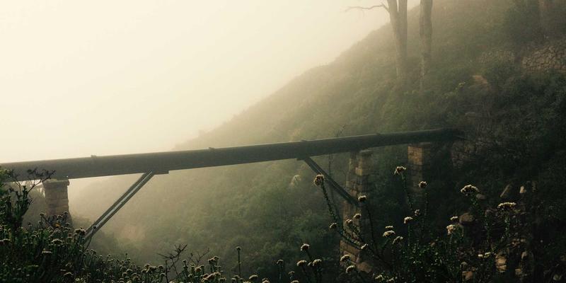 从工业原料到抗癌利器：腙类光敏剂的设计突破与抗肿瘤活性研究