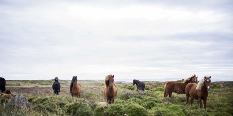 光控腙键异构化机理：解锁下一代光信息存储材料的关键