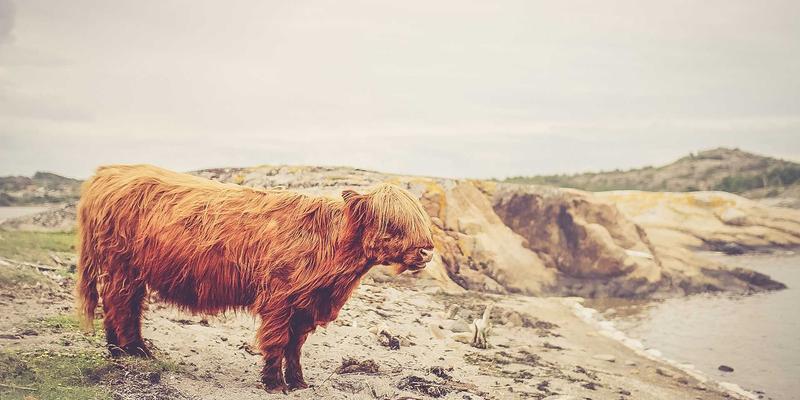 腙类化合物：解锁高性能OLED材料的关键化工原料