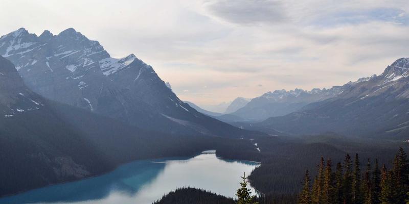 腙类缩合反应：有机合成与高端化学产品制备的核心策略