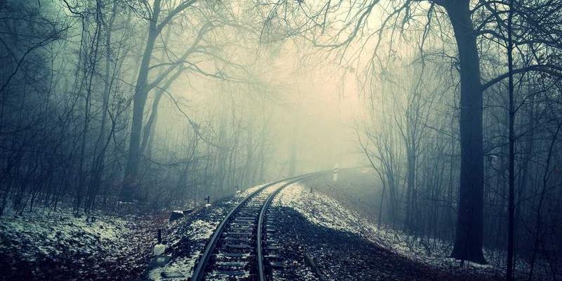 腙类荧光探针：从化工原料到高灵敏度生物成像与疾病诊断的化学利器