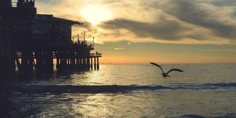 腙键：解锁可回收热固性树脂的化学钥匙——从工业原料到可持续材料的创新设计